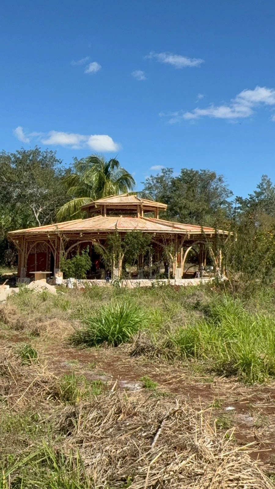 Experiencia educativa en la naturaleza