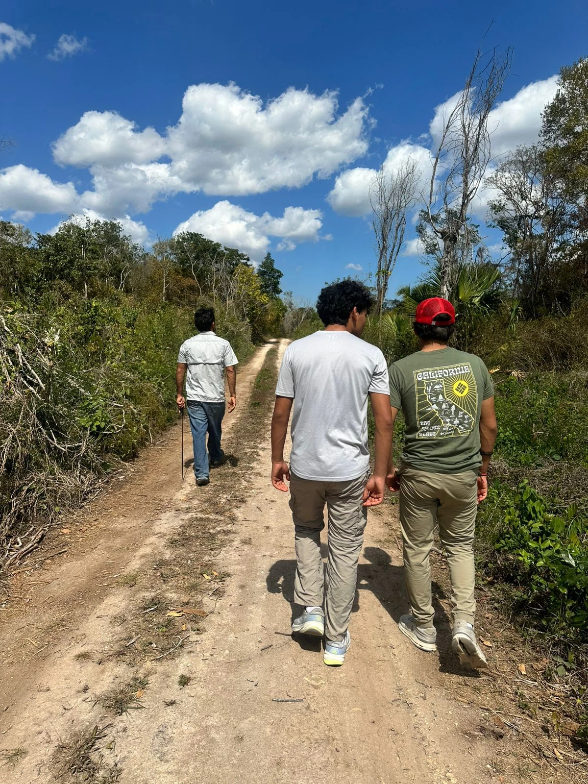 Retiro de reconexión