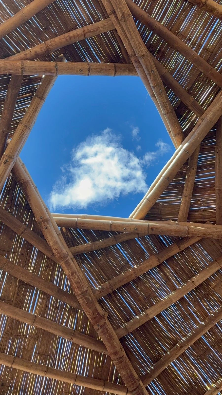 Retiro de reconexión