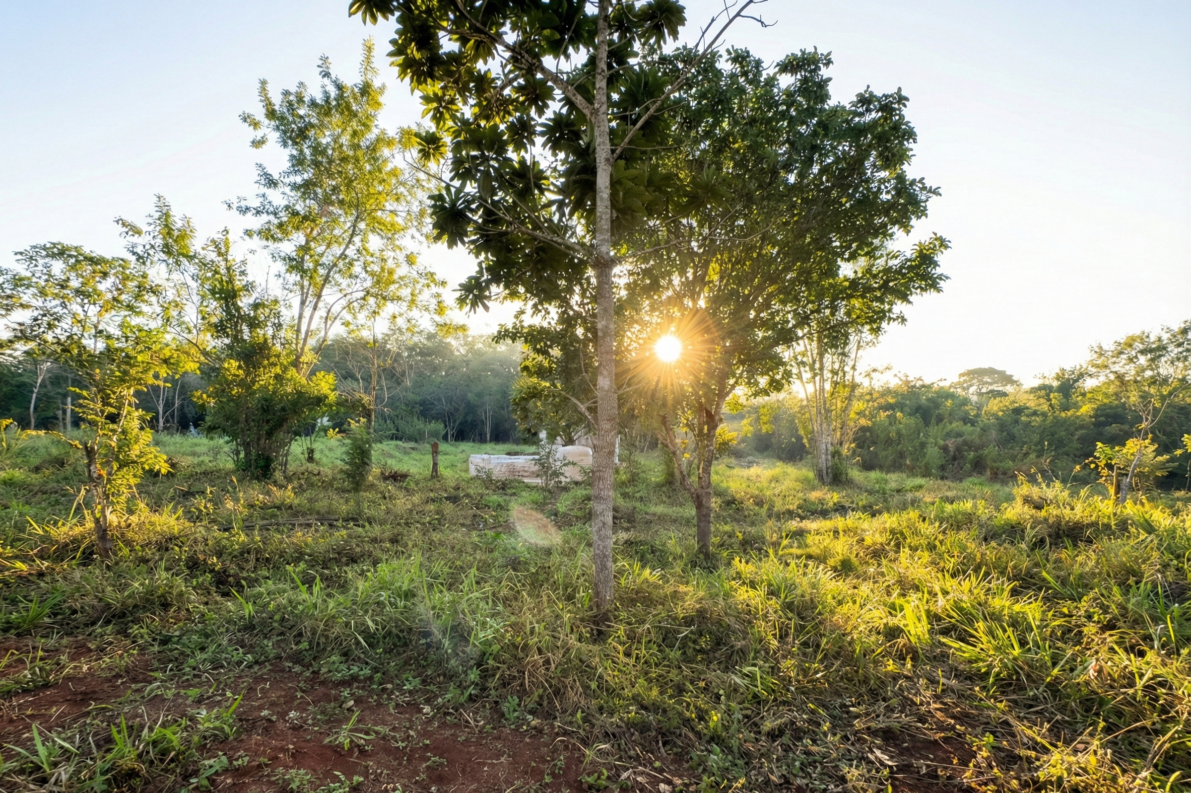 Imagen del Rancho Shambhala
